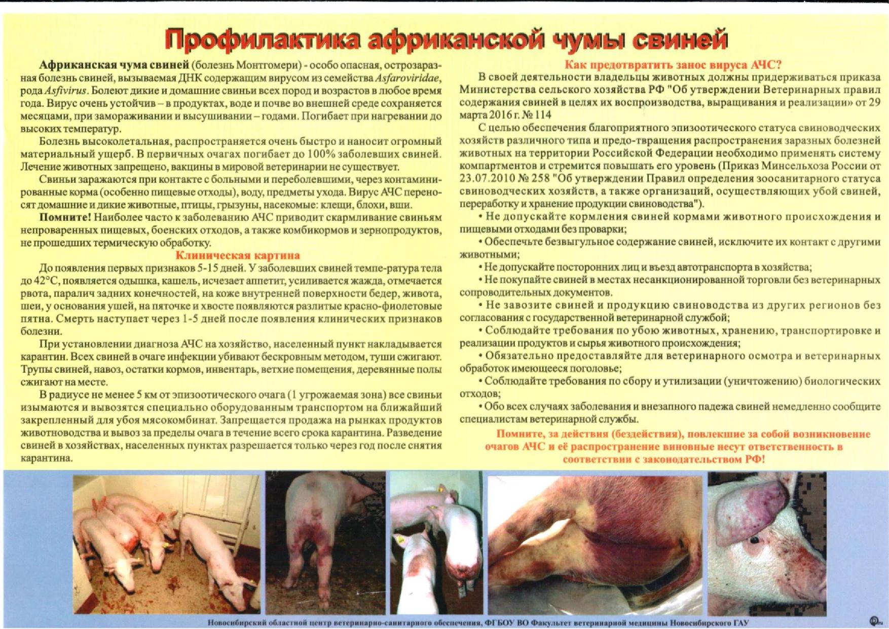 pamyatka_achs.jpg
