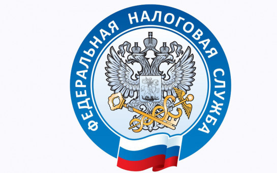 Кто и когда обязан подать декларацию о доходах, полученных в 2023 году